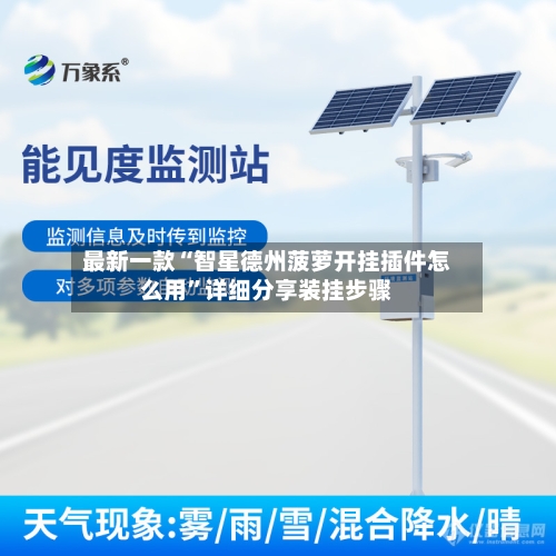 最新一款“智星德州菠萝开挂插件怎么用”详细分享装挂步骤-第2张图片