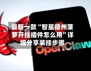 最新一款“智星德州菠萝开挂插件怎么用”详细分享装挂步骤-第3张图片