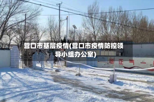 营口市基层疫情(营口市疫情防控领导小组办公室)-第2张图片