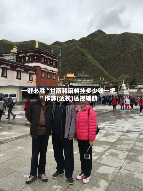 一键必胜“甘南和麻将挂多少钱一把”作弊(透视)透视辅助-第1张图片