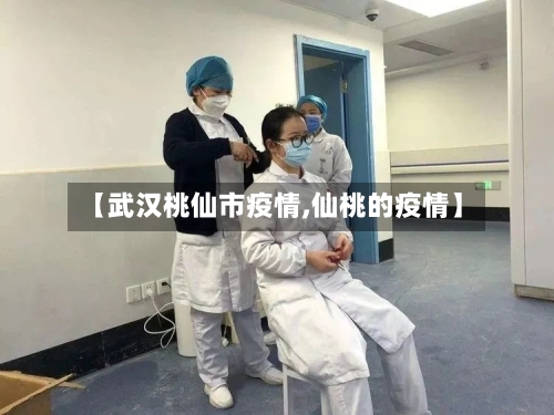 【武汉桃仙市疫情,仙桃的疫情】-第2张图片