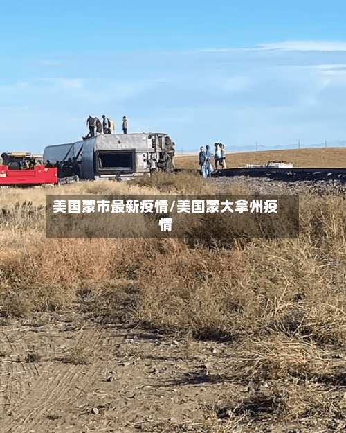 美国蒙市最新疫情/美国蒙大拿州疫情-第3张图片