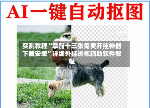 实测教程“掌酷十三张免费开挂神器下载安装”详细外挂透视辅助软件教程-第1张图片