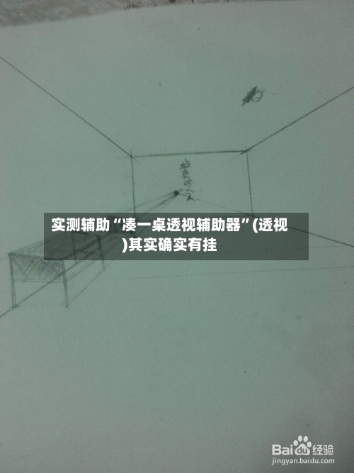 实测辅助“凑一桌透视辅助器	”(透视)其实确实有挂-第1张图片