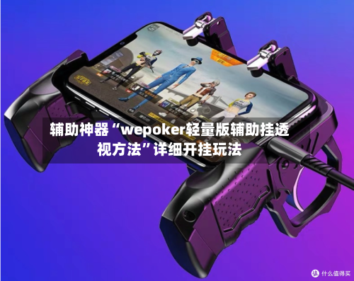 辅助神器“wepoker轻量版辅助挂透视方法”详细开挂玩法-第1张图片