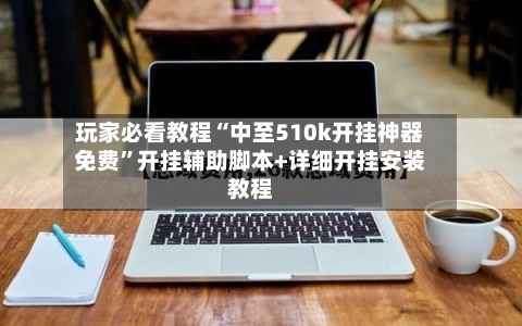 玩家必看教程“中至510k开挂神器免费”开挂辅助脚本+详细开挂安装教程-第3张图片