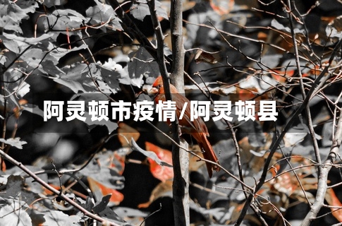 阿灵顿市疫情/阿灵顿县-第1张图片