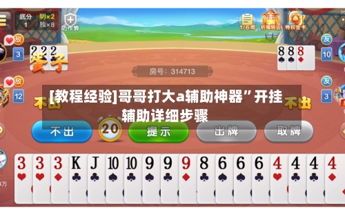 [教程经验]哥哥打大a辅助神器”开挂辅助详细步骤-第1张图片