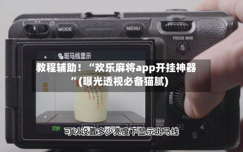 教程辅助！“欢乐麻将app开挂神器	”(曝光透视必备猫腻)-第3张图片