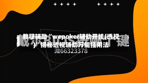 教程辅助“wepoker辅助开挂(透视)”揭秘透视辅助万能挂用法-第2张图片