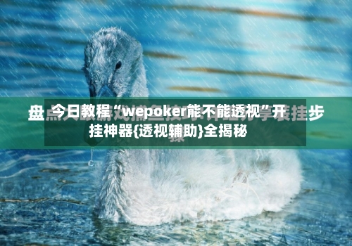 今日教程“wepoker能不能透视	”开挂神器{透视辅助}全揭秘-第3张图片