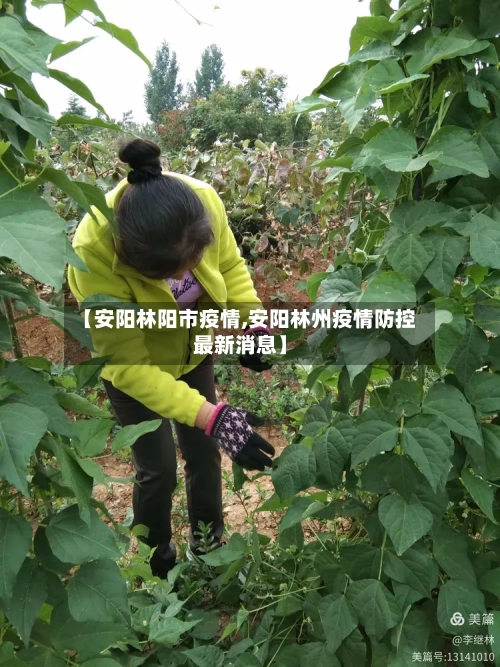 【安阳林阳市疫情,安阳林州疫情防控最新消息】-第2张图片