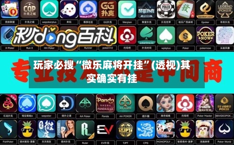 玩家必搜“微乐麻将开挂”(透视)其实确实有挂-第2张图片