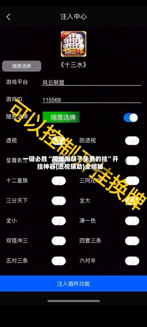 一键必胜“同城跑胡子免费的挂	”开挂神器{透视辅助}全揭秘-第2张图片