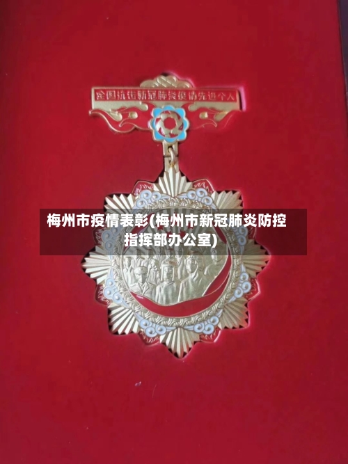 梅州市疫情表彰(梅州市新冠肺炎防控指挥部办公室)-第1张图片