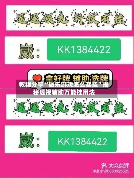教程分享“微乐游戏怎么买挂”揭秘透视辅助万能挂用法-第2张图片