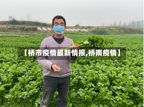 【桥市疫情最新情报,桥南疫情】-第3张图片