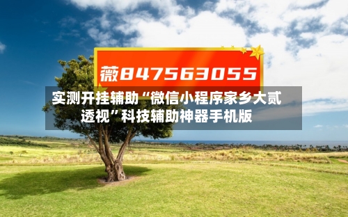 实测开挂辅助“微信小程序家乡大贰透视”科技辅助神器手机版-第1张图片