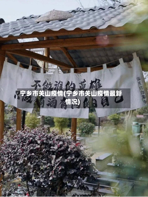 宁乡市关山疫情(宁乡市关山疫情最新情况)-第2张图片