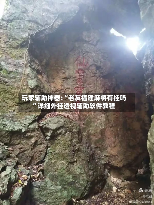 玩家辅助神器:“老友福建麻将有挂吗”详细外挂透视辅助软件教程-第1张图片