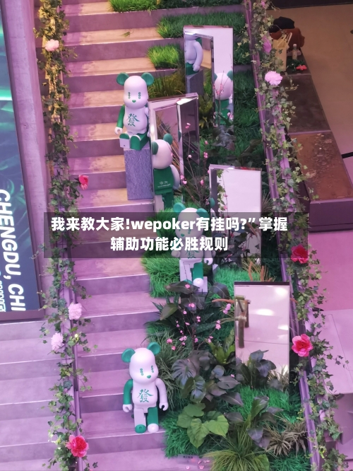 我来教大家!wepoker有挂吗?	”掌握辅助功能必胜规则-第2张图片