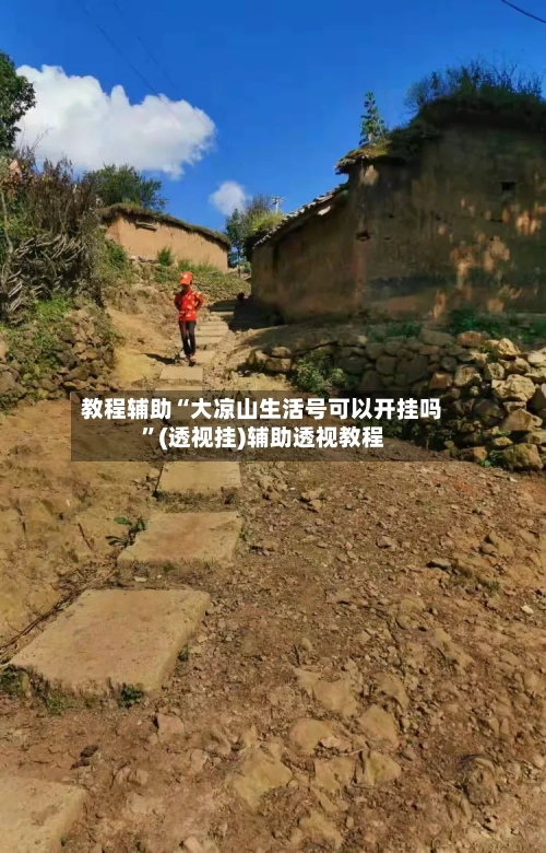 教程辅助“大凉山生活号可以开挂吗”(透视挂)辅助透视教程-第3张图片