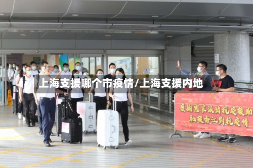 上海支援哪个市疫情/上海支援内地-第2张图片