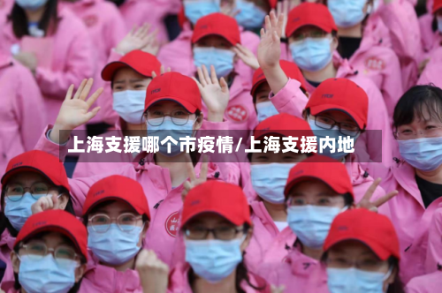 上海支援哪个市疫情/上海支援内地-第3张图片