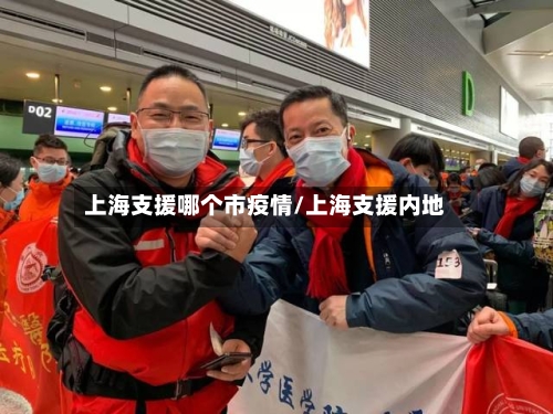 上海支援哪个市疫情/上海支援内地-第1张图片