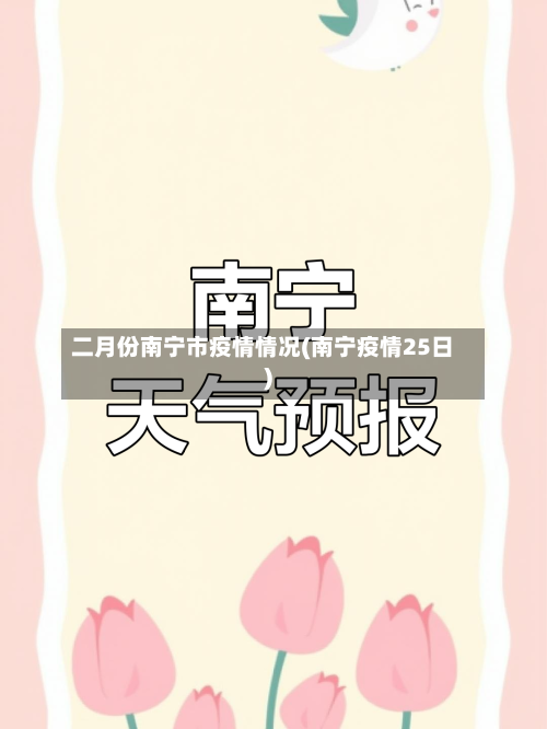 二月份南宁市疫情情况(南宁疫情25日)-第3张图片