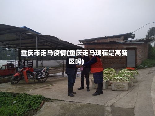重庆市走马疫情(重庆走马现在是高新区吗)-第2张图片