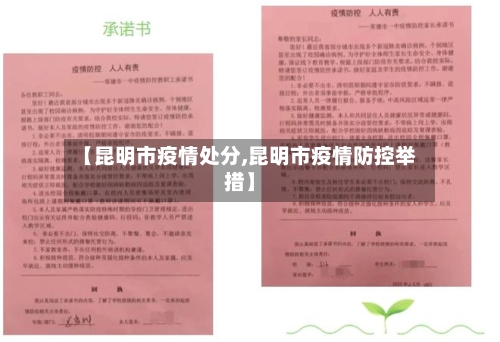 【昆明市疫情处分,昆明市疫情防控举措】-第1张图片