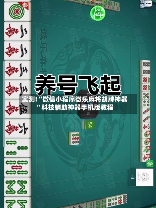 实测!“微信小程序微乐麻将胡牌神器”科技辅助神器手机版教程-第2张图片