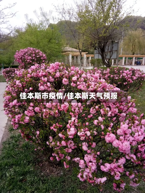 佳本斯市疫情/佳本斯天气预报-第2张图片