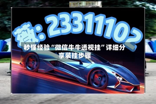 秒懂经验“微信牛牛透视挂	”详细分享装挂步骤-第1张图片