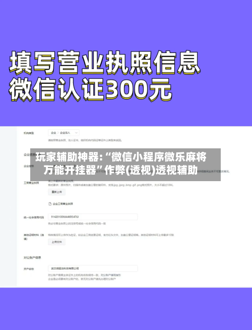 玩家辅助神器:“微信小程序微乐麻将万能开挂器”作弊(透视)透视辅助-第1张图片