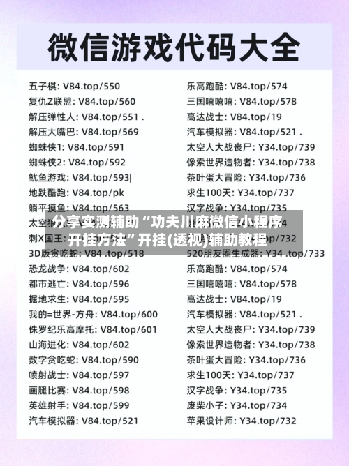 分享实测辅助“功夫川麻微信小程序开挂方法	”开挂(透视)辅助教程-第2张图片