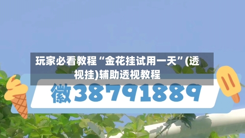 玩家必看教程“金花挂试用一天”(透视挂)辅助透视教程-第1张图片