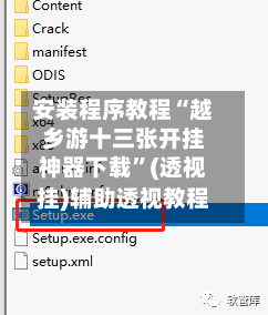 安装程序教程“越乡游十三张开挂神器下载”(透视挂)辅助透视教程-第1张图片