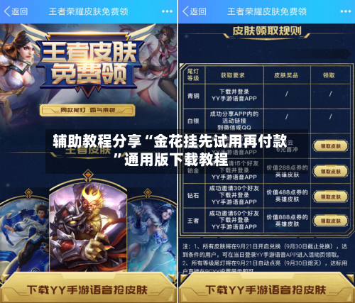 辅助教程分享“金花挂先试用再付款	”通用版下载教程-第1张图片