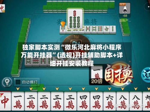独家脚本实测“微乐河北麻将小程序万能开挂器”(透视)开挂辅助脚本+详细开挂安装教程-第2张图片