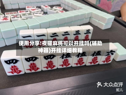 使用分享!夜猫麻将可以开挂吗(辅助神器)开挂详细教程-第2张图片