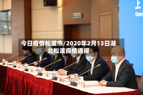 今日疫情松滋市/2020年2月13日湖北松滋疫情通报-第1张图片