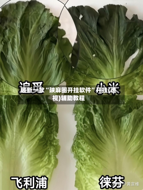 最新一款“陕麻圈开挂软件	”开挂(透视)辅助教程-第1张图片