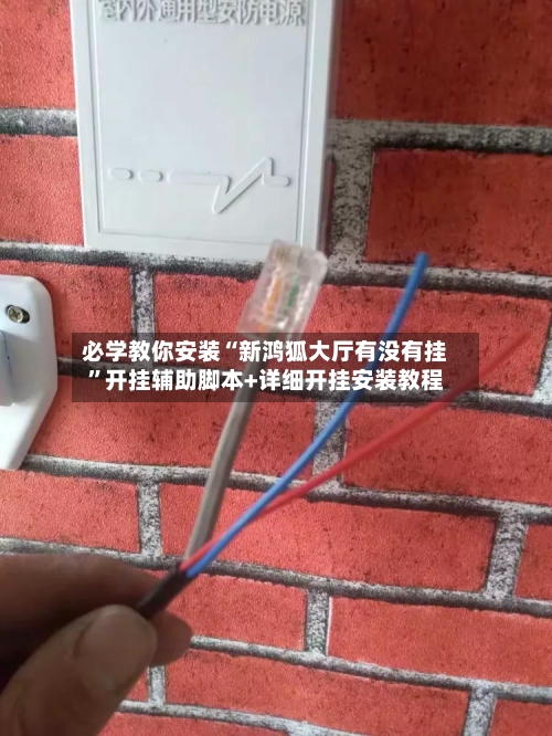 必学教你安装“新鸿狐大厅有没有挂	”开挂辅助脚本+详细开挂安装教程-第3张图片