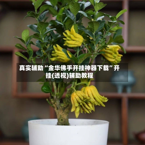 真实辅助“金华佛手开挂神器下载”开挂(透视)辅助教程-第2张图片