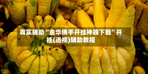 真实辅助“金华佛手开挂神器下载”开挂(透视)辅助教程-第3张图片