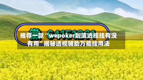 推荐一款“wepoker到底透视挂有没有用”揭秘透视辅助万能挂用法-第3张图片