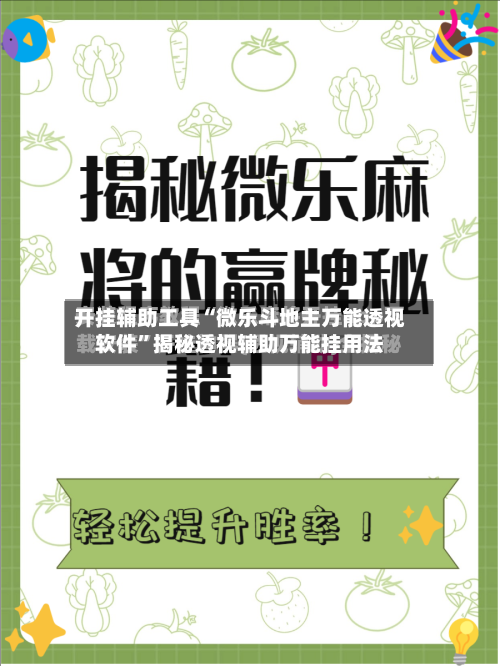 开挂辅助工具“微乐斗地主万能透视软件”揭秘透视辅助万能挂用法-第2张图片