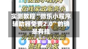 实测教程“微乐小程序辅助器免费2.0”的确是有挂-第1张图片